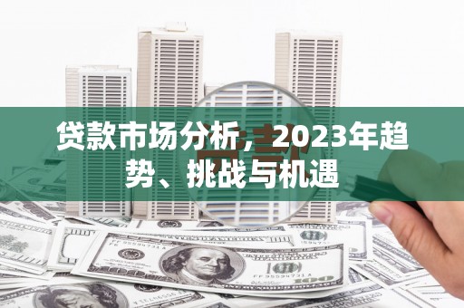 南丹贷款市场分析，2023年趋势、挑战与机遇