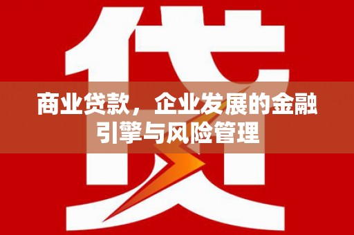 南丹商业贷款，企业发展的金融引擎与风险管理