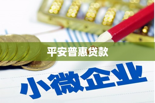 南丹平安普惠贷款