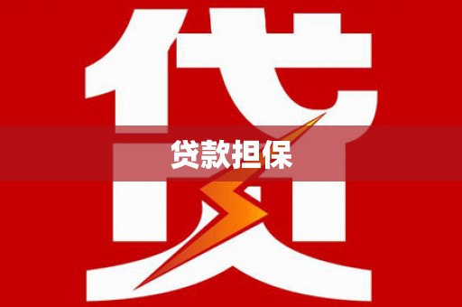 南丹贷款担保