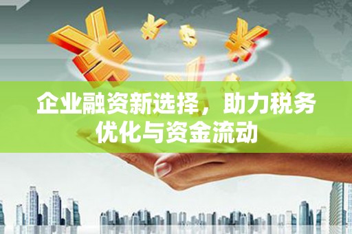 南丹企业融资新选择，助力税务优化与资金流动