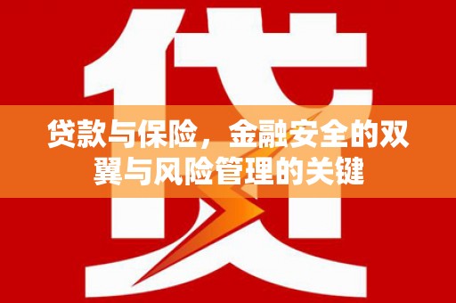 南丹贷款与保险，金融安全的双翼与风险管理的关键