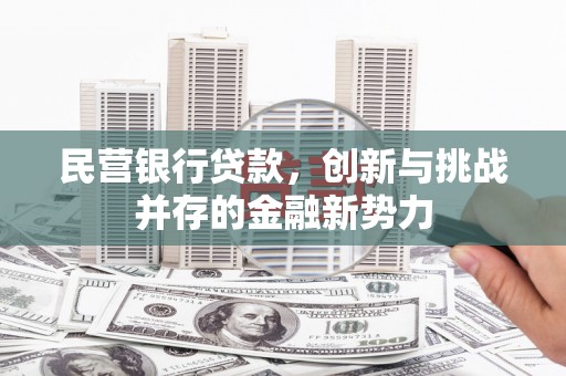 南丹民营银行贷款，创新与挑战并存的金融新势力