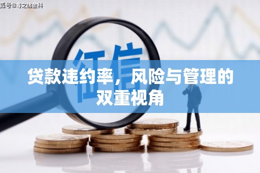 南丹贷款违约率，风险与管理的双重视角