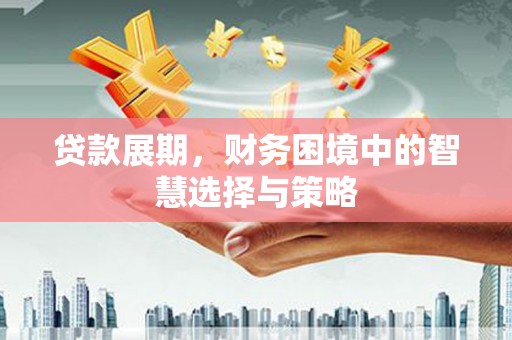南丹贷款展期，财务困境中的智慧选择与策略