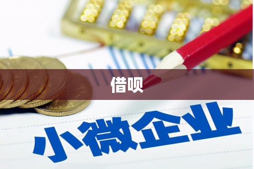 南丹借呗