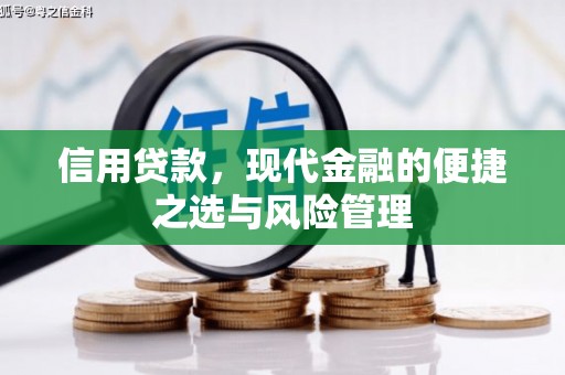 南丹信用贷款，现代金融的便捷之选与风险管理