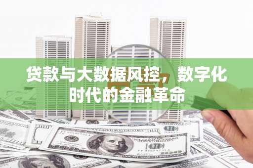 南丹贷款与大数据风控，数字化时代的金融革命