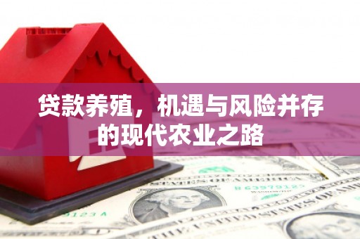 南丹贷款养殖，机遇与风险并存的现代农业之路