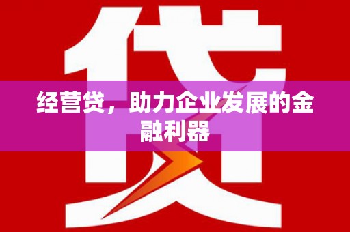 南丹经营贷，助力企业发展的金融利器