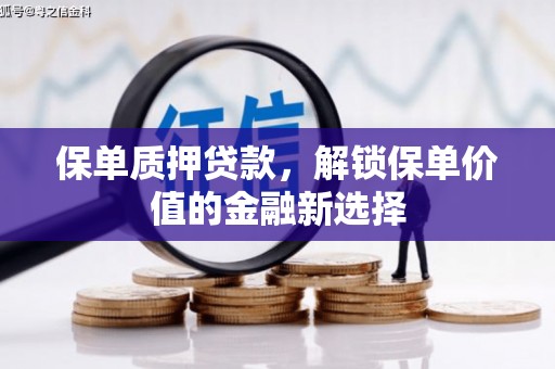 南丹保单质押贷款，解锁保单价值的金融新选择