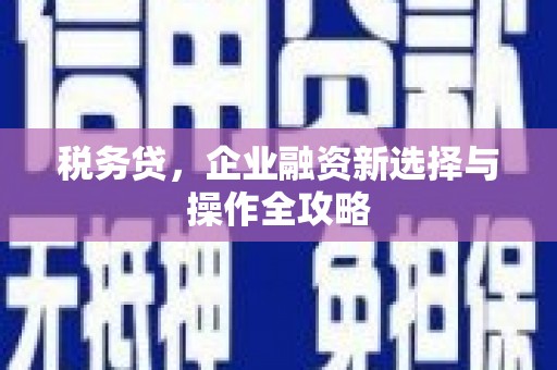 南丹税务贷，企业融资新选择与操作全攻略