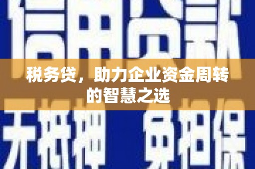 南丹税务贷，助力企业资金周转的智慧之选