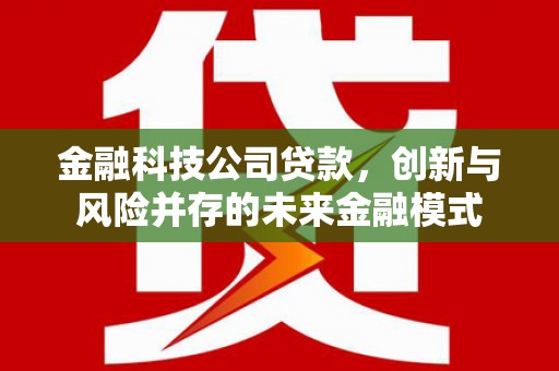 南丹金融科技公司贷款，创新与风险并存的未来金融模式