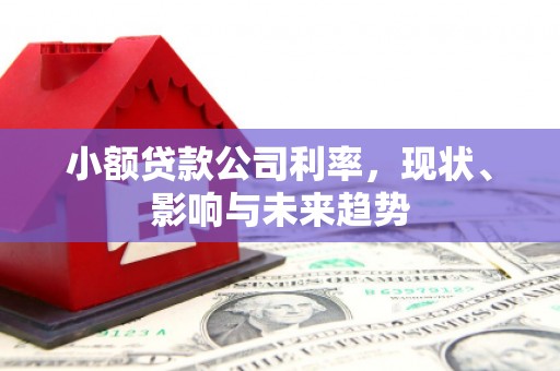 南丹小额贷款公司利率，现状、影响与未来趋势