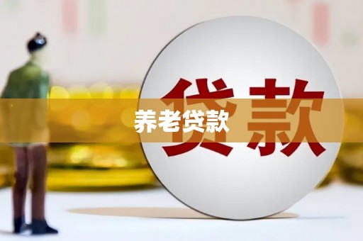 南丹养老贷款