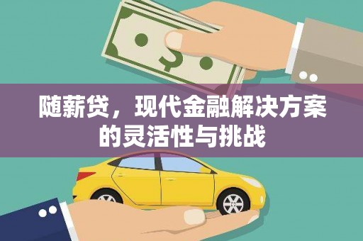 南丹随薪贷，现代金融解决方案的灵活性与挑战