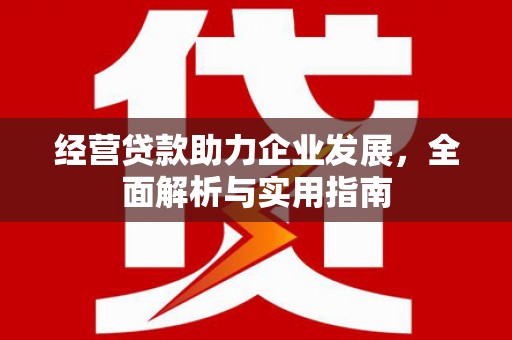 南丹经营贷款助力企业发展，全面解析与实用指南