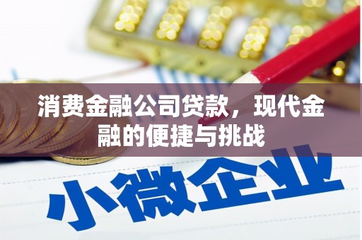 南丹消费金融公司贷款，现代金融的便捷与挑战