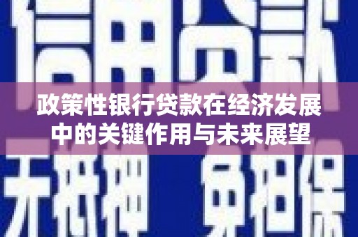 南丹政策性银行贷款在经济发展中的关键作用与未来展望