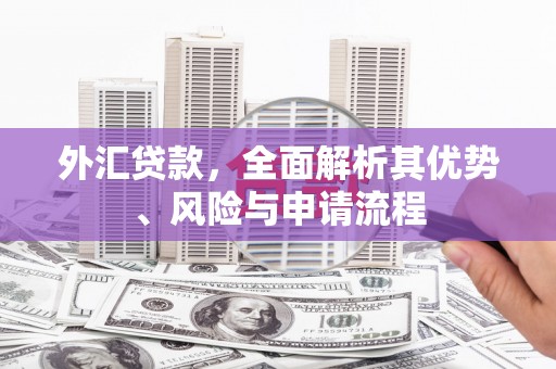 南丹外汇贷款，全面解析其优势、风险与申请流程