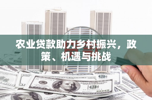 南丹农业贷款助力乡村振兴，政策、机遇与挑战