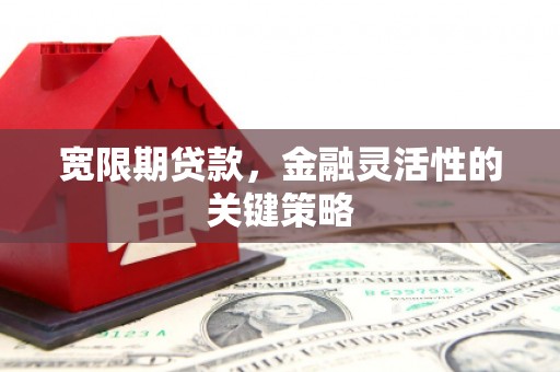 南丹宽限期贷款，金融灵活性的关键策略