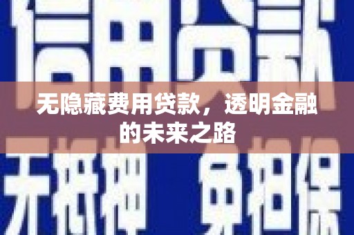 南丹无隐藏费用贷款，透明金融的未来之路