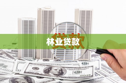 南丹林业贷款