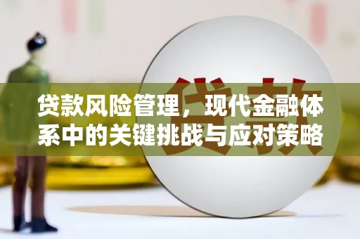 南丹贷款风险管理，现代金融体系中的关键挑战与应对策略
