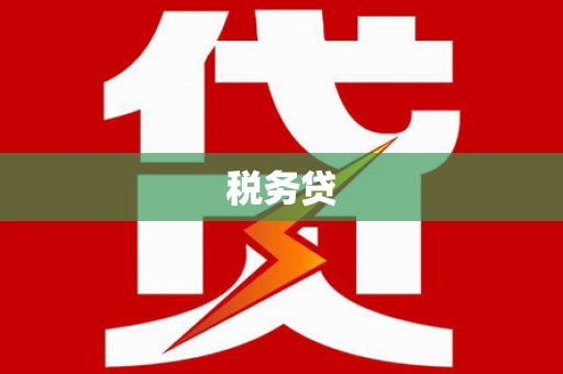 南丹税务贷