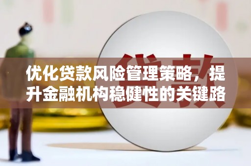 南丹优化贷款风险管理策略，提升金融机构稳健性的关键路径