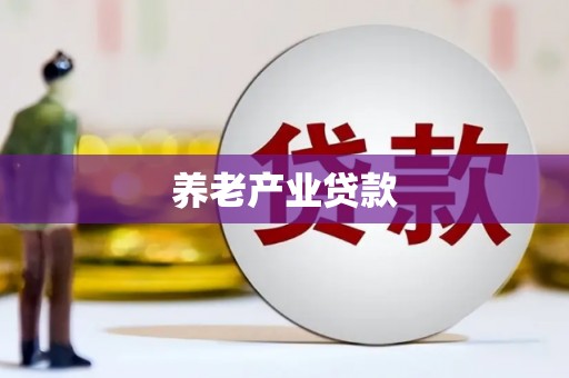 南丹养老产业贷款