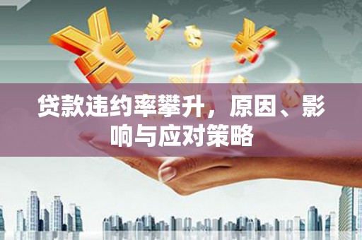南丹贷款违约率攀升，原因、影响与应对策略