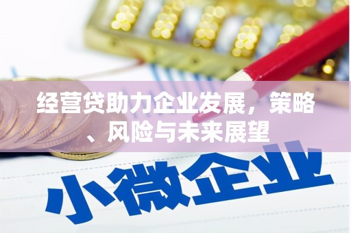 南丹经营贷助力企业发展，策略、风险与未来展望