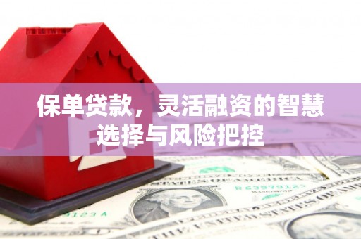 南丹保单贷款，灵活融资的智慧选择与风险把控