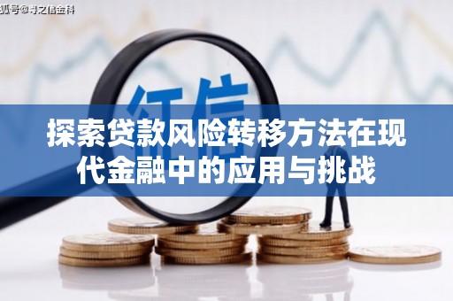 南丹探索贷款风险转移方法在现代金融中的应用与挑战