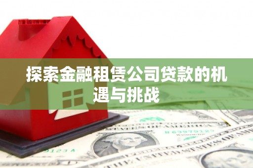 南丹探索金融租赁公司贷款的机遇与挑战