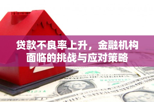 南丹贷款不良率上升，金融机构面临的挑战与应对策略