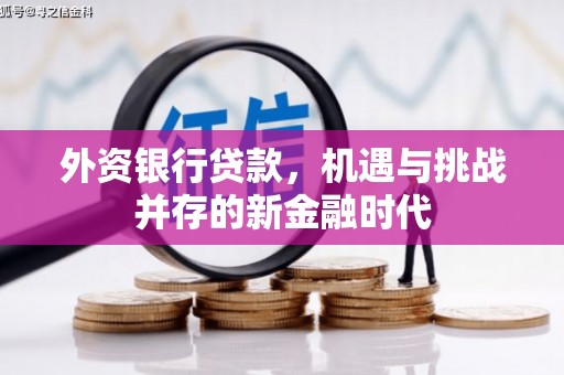 南丹外资银行贷款，机遇与挑战并存的新金融时代