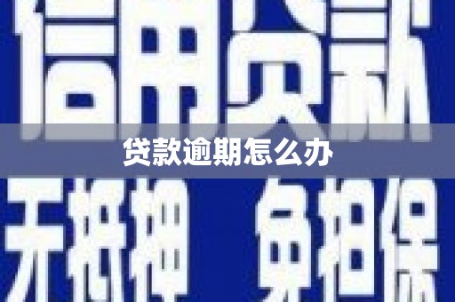 南丹贷款逾期怎么办