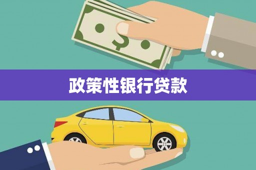 南丹政策性银行贷款