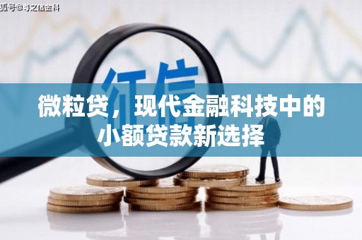 南丹微粒贷，现代金融科技中的小额贷款新选择