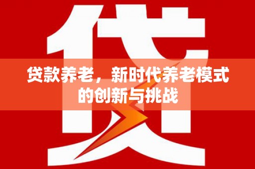 南丹贷款养老，新时代养老模式的创新与挑战
