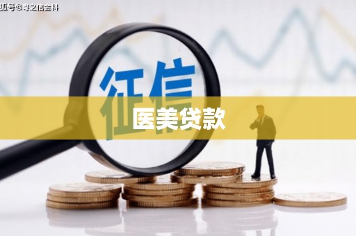 南丹医美贷款