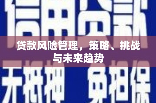 南丹贷款风险管理，策略、挑战与未来趋势