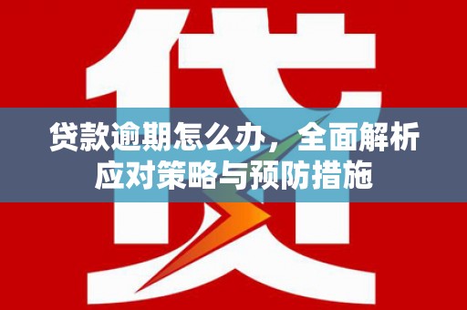 南丹贷款逾期怎么办，全面解析应对策略与预防措施