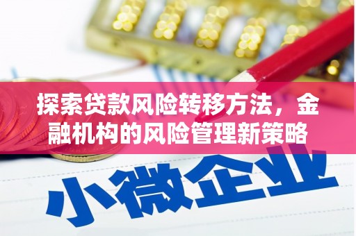 南丹探索贷款风险转移方法，金融机构的风险管理新策略