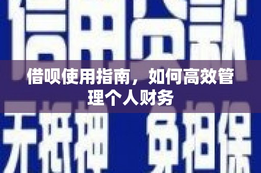 南丹借呗使用指南，如何高效管理个人财务
