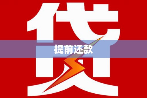 南丹提前还款